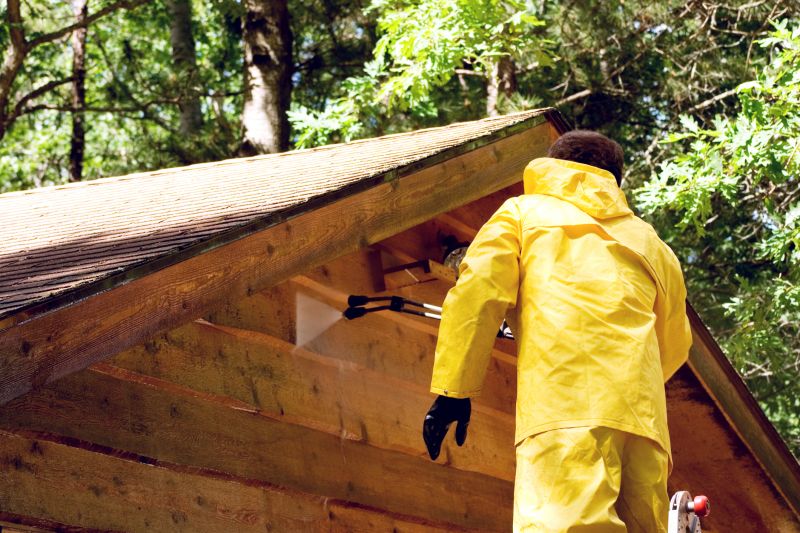 Log Home Exterior Cleaning
