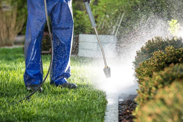 Cost of Curb Cleaning in Brookfield
