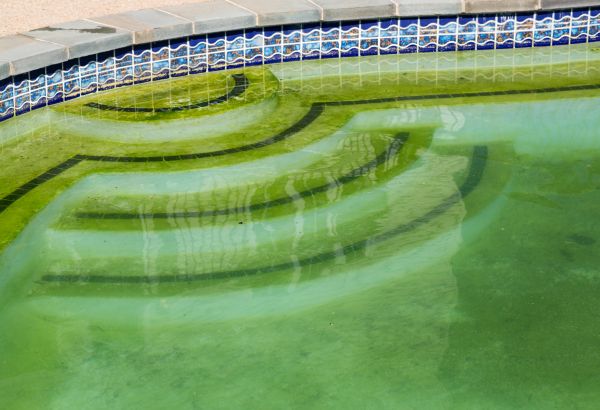 Pool Deck Algae Removal in Brookfield